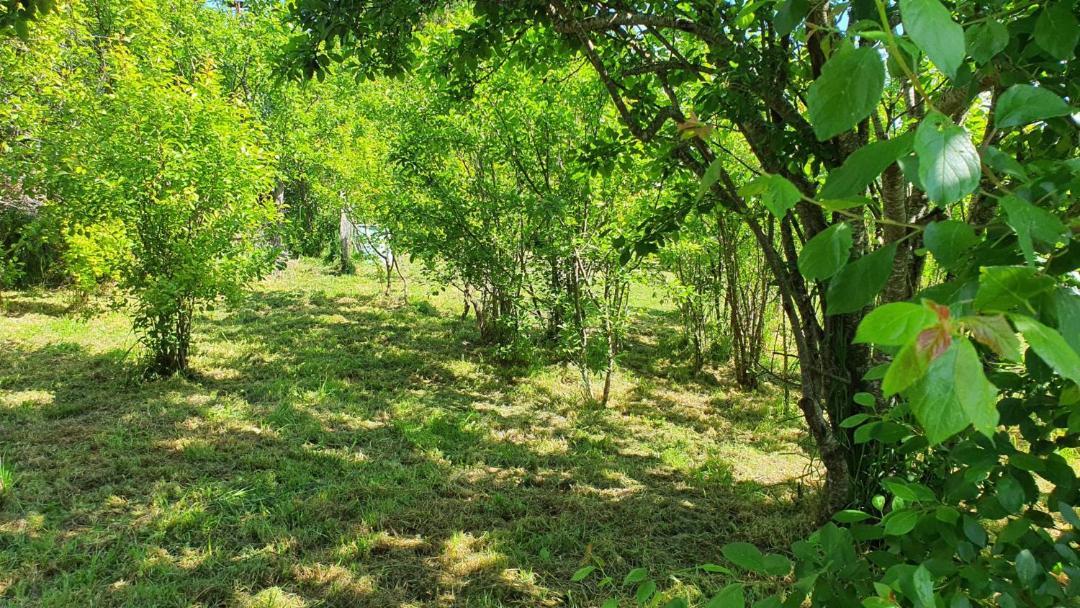 Photo of Outdoor in Rio Negro