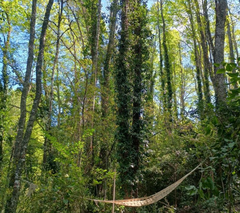 Photo of Outdoor in Villarrica