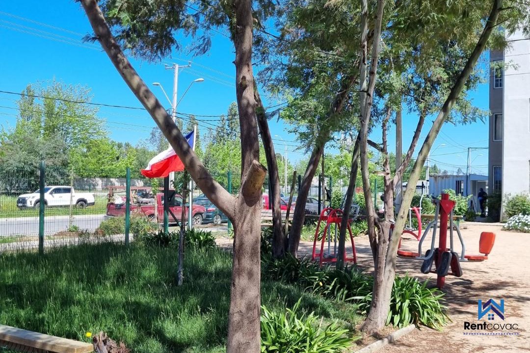 Photo of Others in Talca