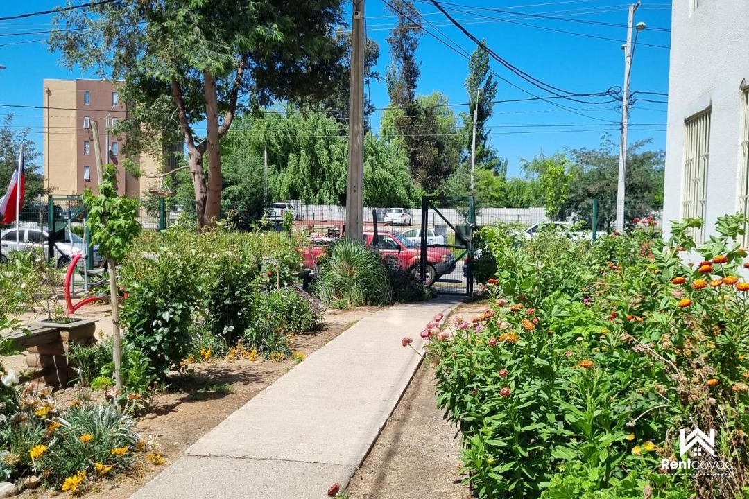 Photo of Others in Talca