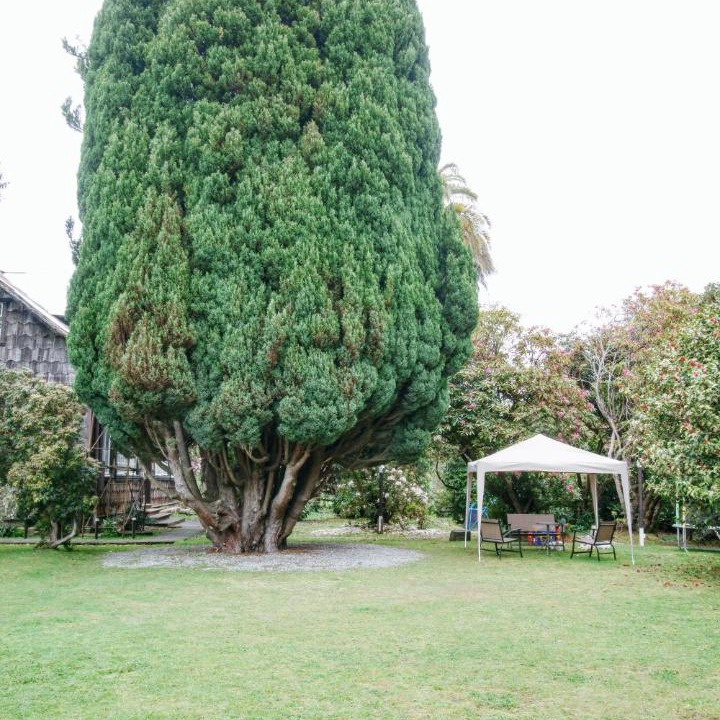 Photo of Outdoor in Chamiza