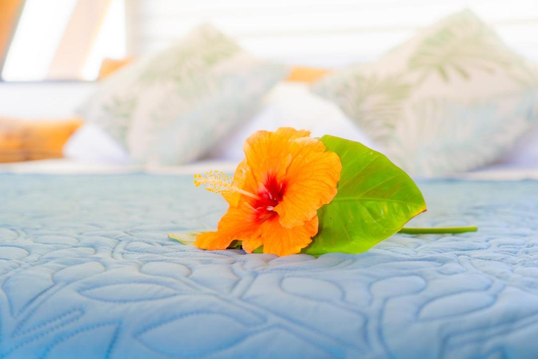 Photo of Bedroom in Hanga Roa