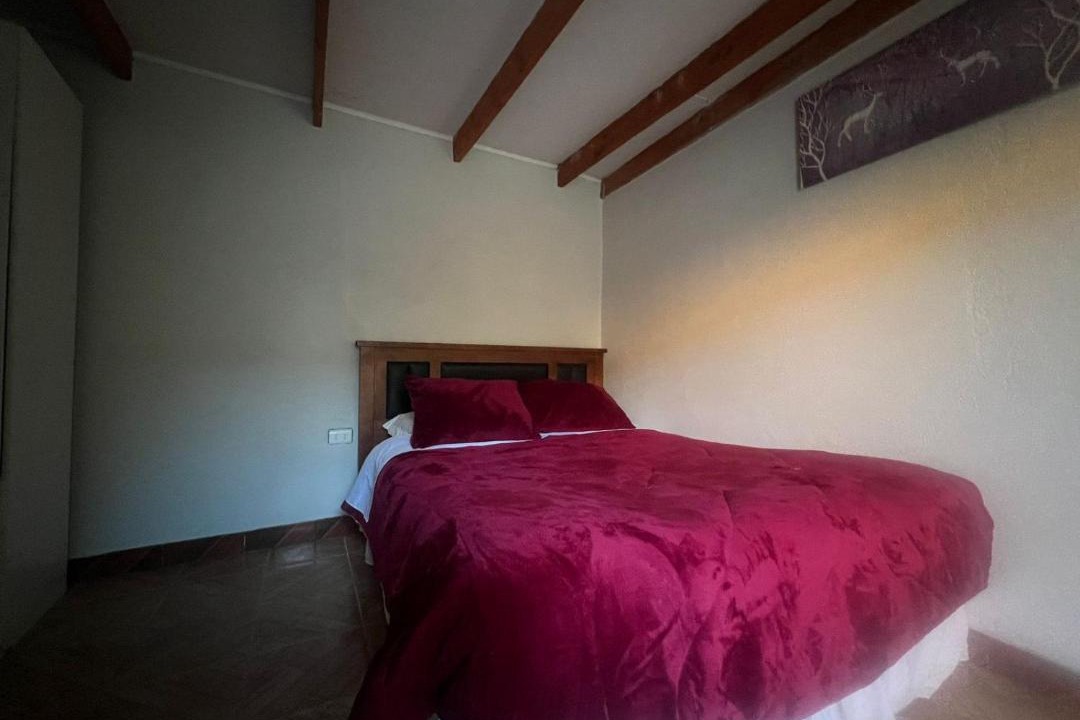 Photo of Others in San Pedro de Atacama