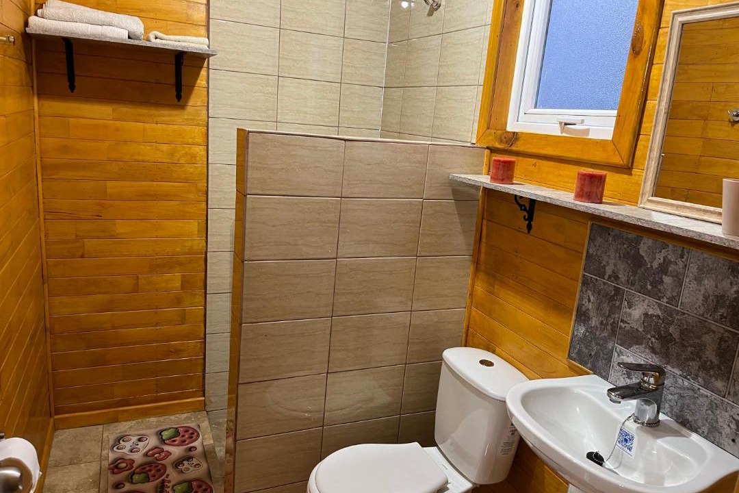 Photo of Bathroom in Puyehue