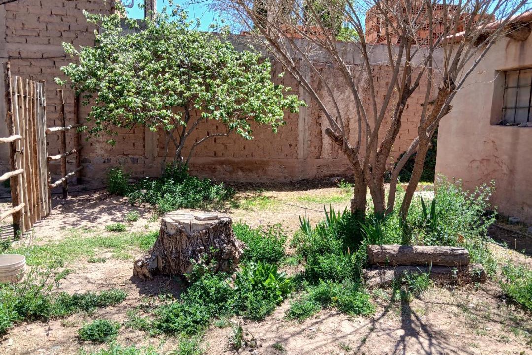 Photo of Others in Humahuaca