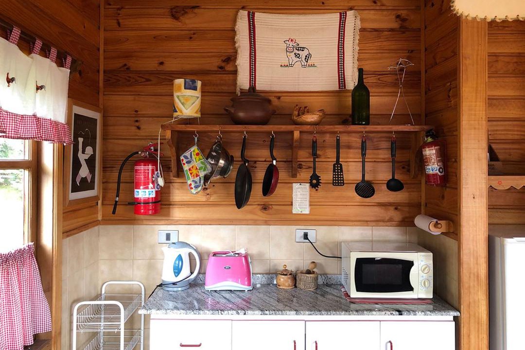 Photo of Kitchen in Puerto Varas