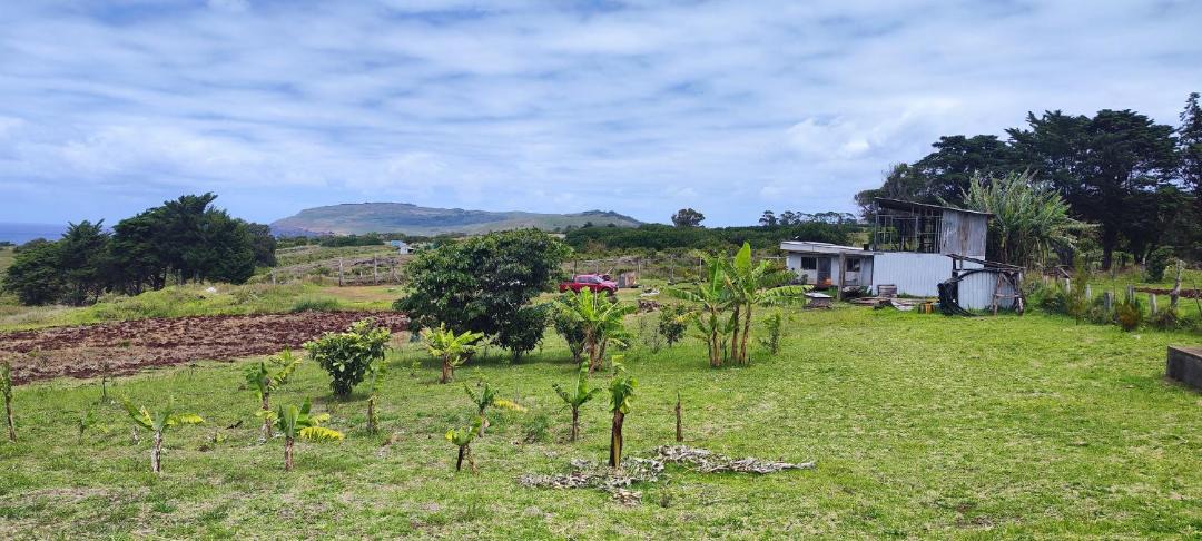 Photo of Others in Hanga Roa