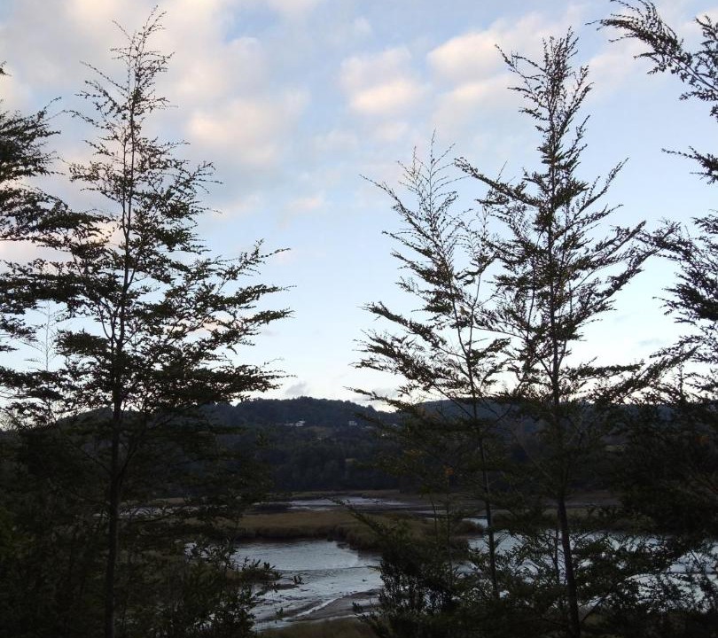 Photo of Others in Chonchi