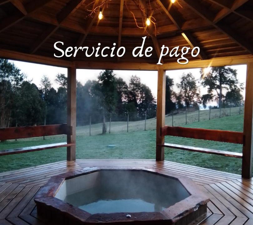 Photo of Others in Puyehue