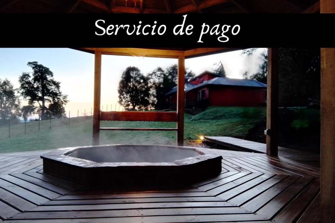 Photo of Others in Puyehue