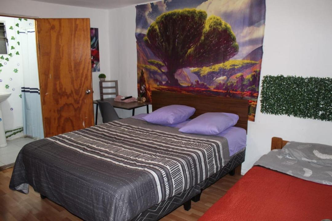 Photo of Bedroom in Copiapo