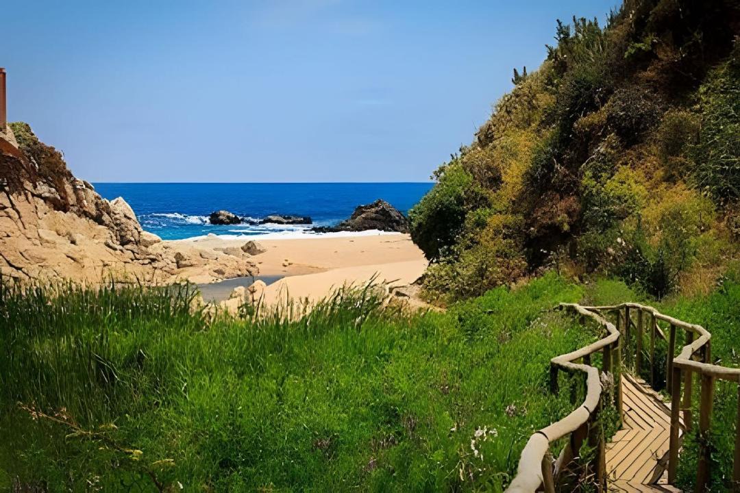 Photo of Others in Algarrobo