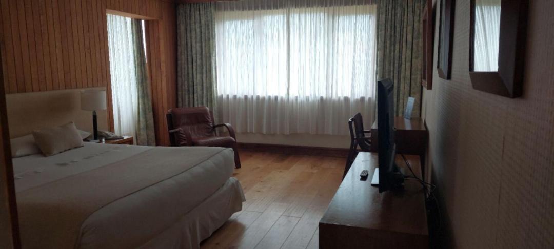 Photo of Others in Puerto Natales