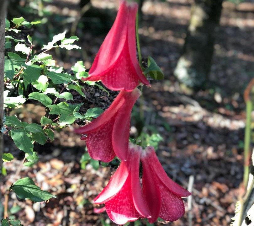 Photo of Outdoor in Santa Barbara