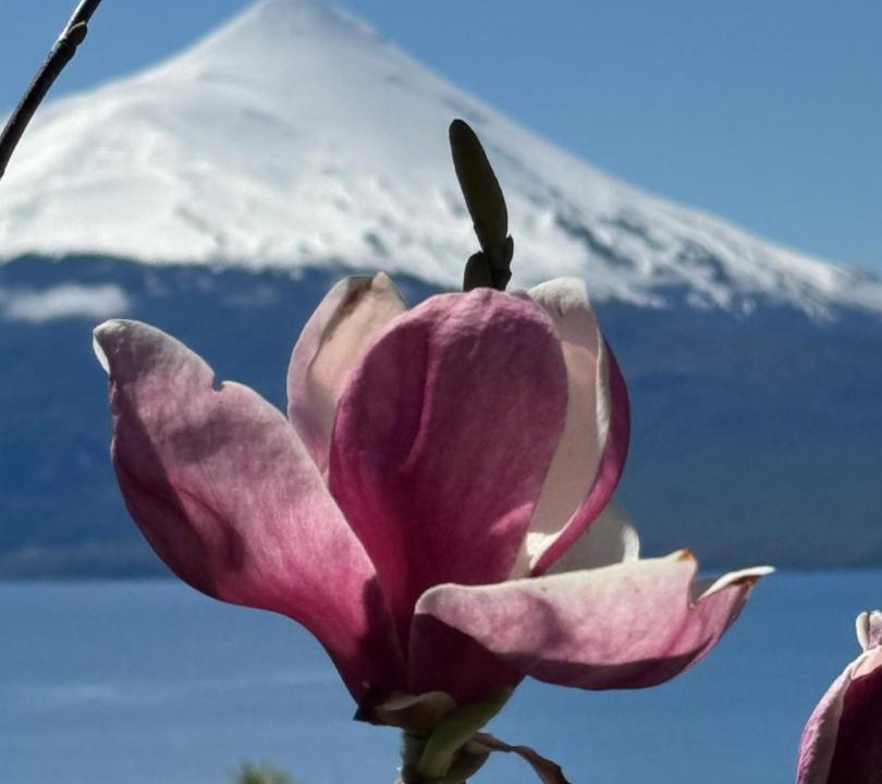 Photo of Others in Puerto Varas