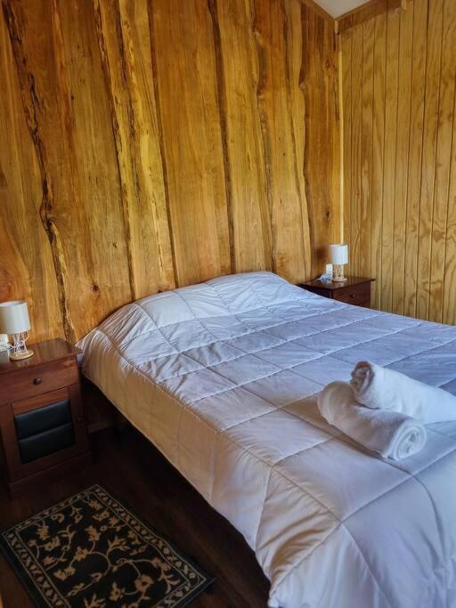 Photo of Bedroom in Melipeuco