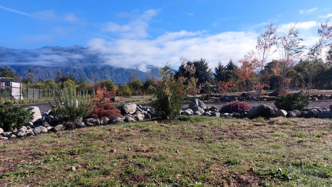 Photo of Others in Pucon