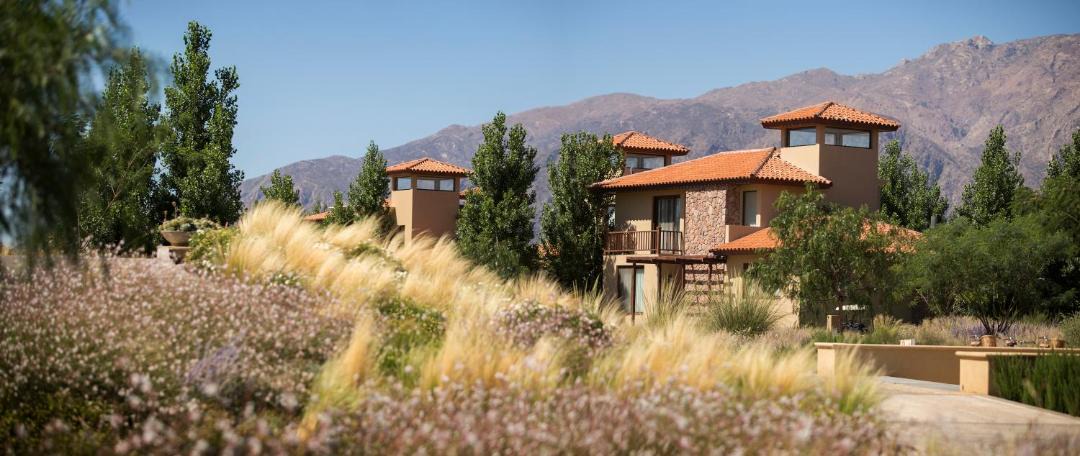 Photo of Others in Cafayate