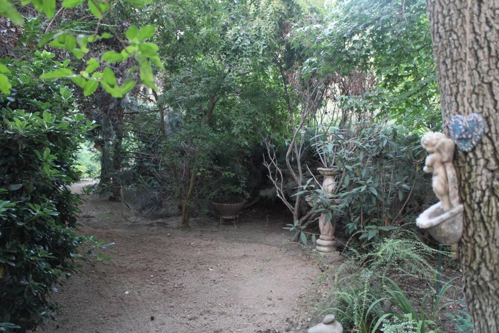 Photo of Others in Colina