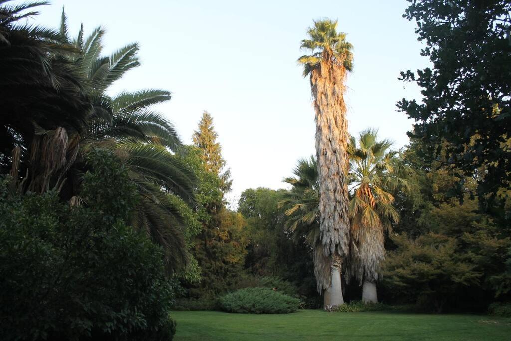 Photo of Others in Colina