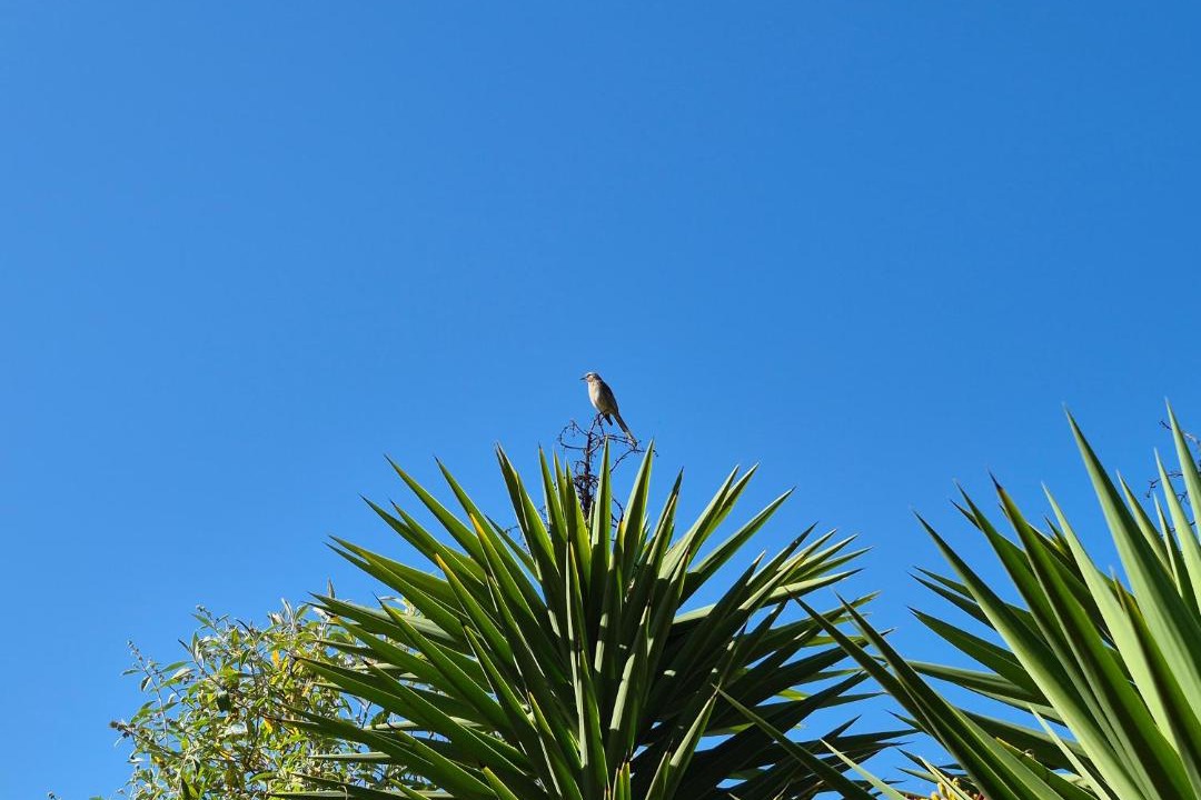 Photo of Others in Canela