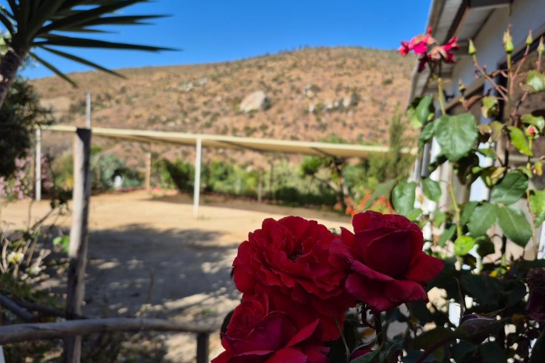Photo of Others in Canela