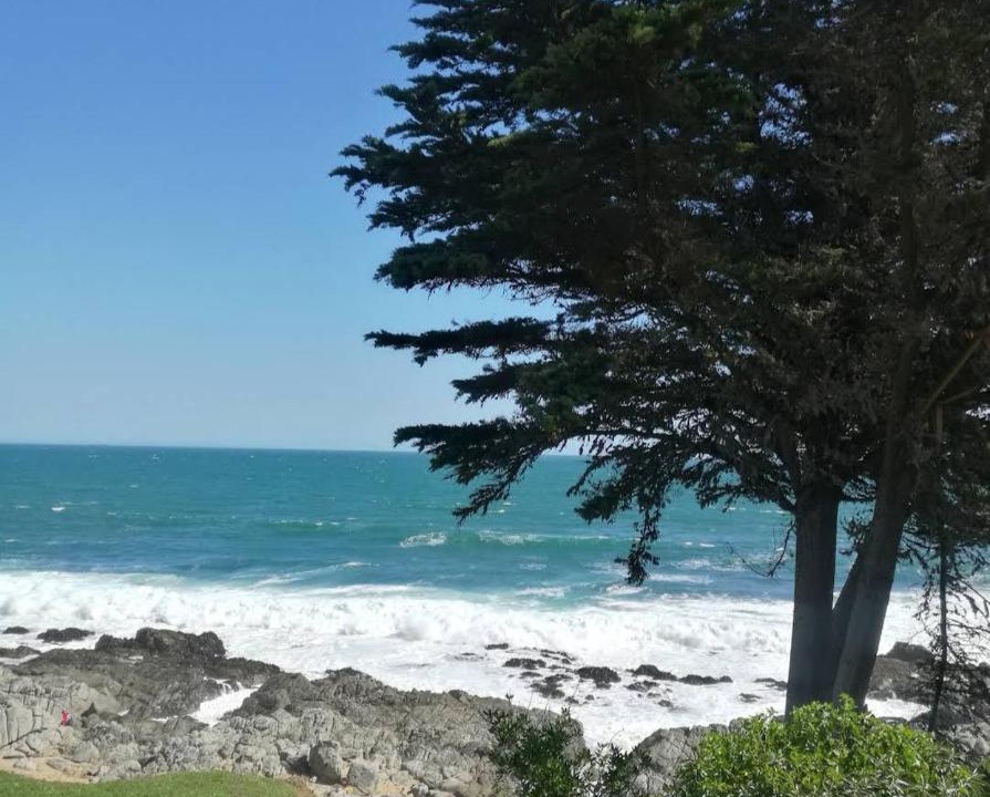 Photo of Others in Isla Negra