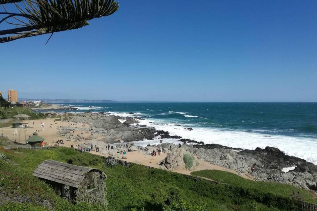 Photo of Others in Isla Negra