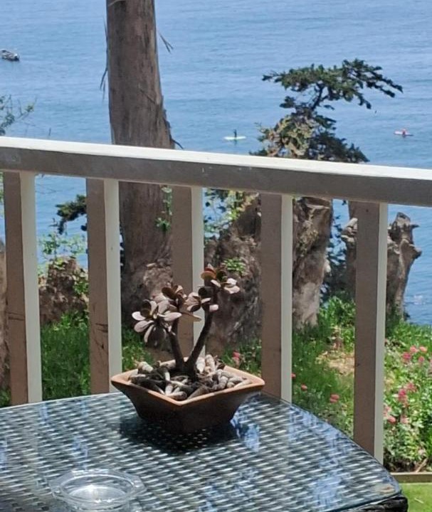 Photo of Patio Balcony in Caleta Horcon
