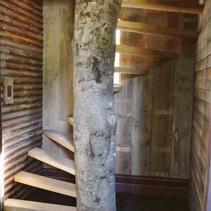 Photo of Others in Pucon