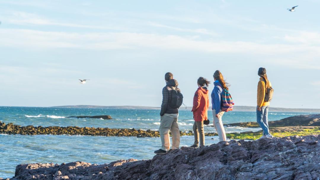 Photo of Others in Bahia Bustamante
