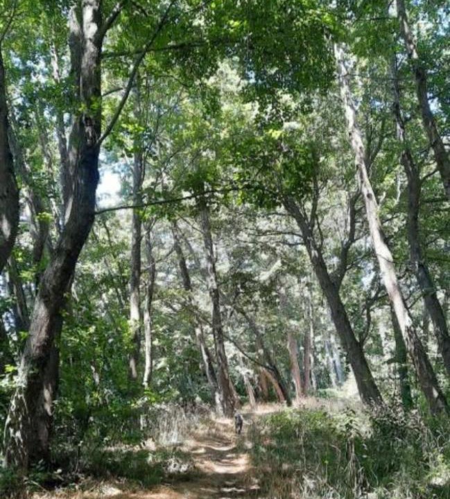 Photo of Others in Salto del Laja