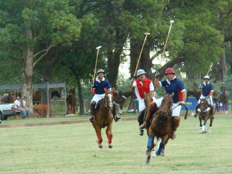 Photo of Others in Bernardo Larroude