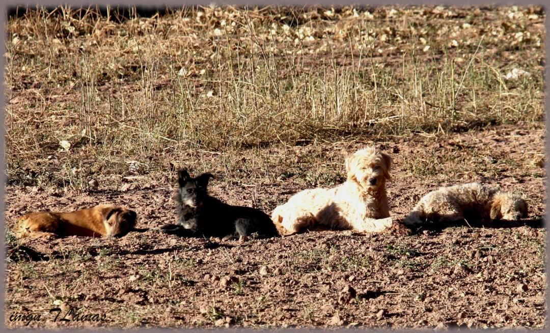 Photo of Others in Huacalera