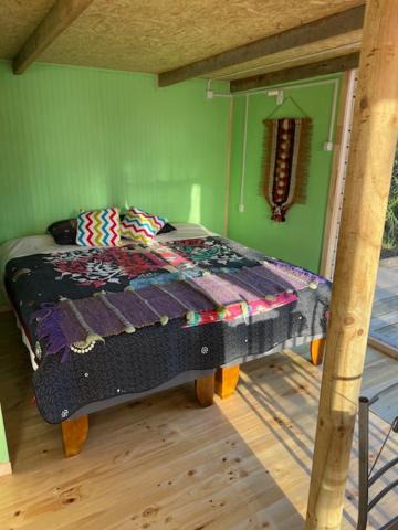 Photo of Others in Ancud