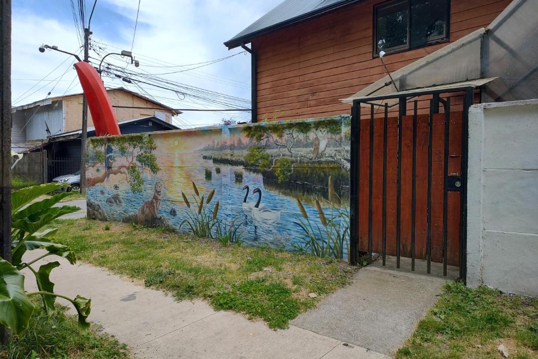 Photo of Others in Valdivia