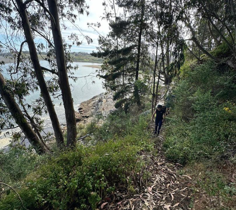 Photo of Others in Pelluhue