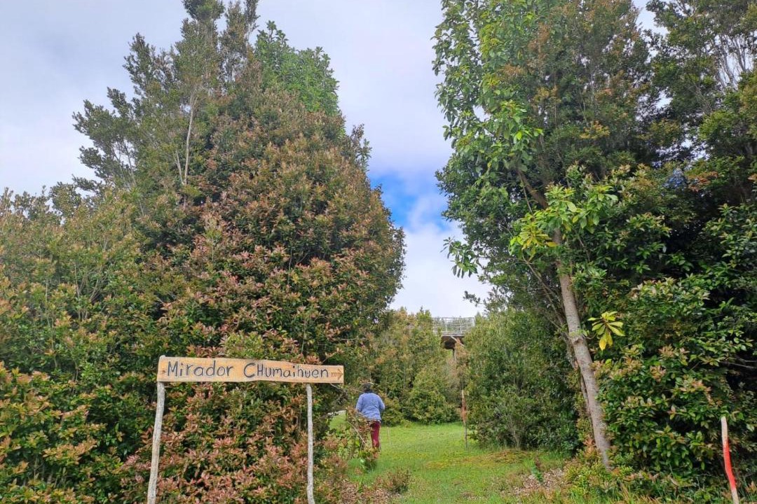 Photo of Outdoor in Quellon