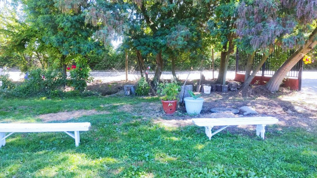 Photo of Outdoor in Linares