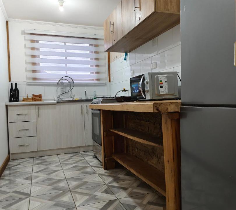 Photo of Kitchen in Lican Ray