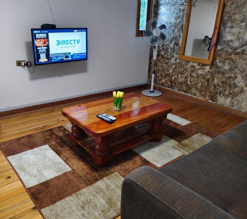 Photo of Livingroom in Lican Ray