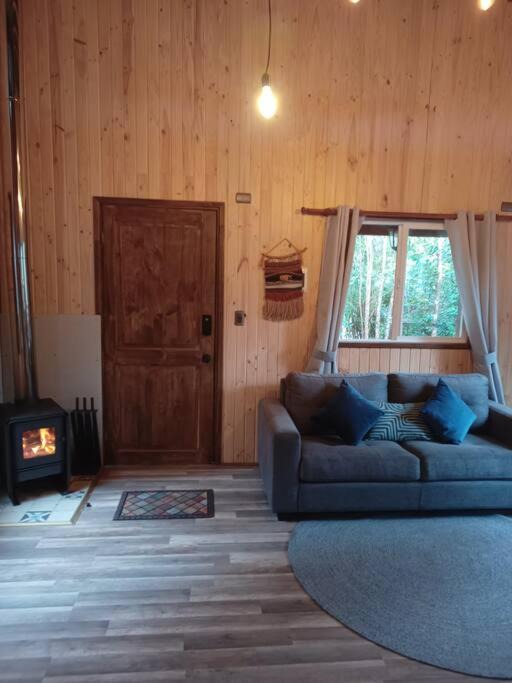 Photo of Livingroom in Puerto Varas