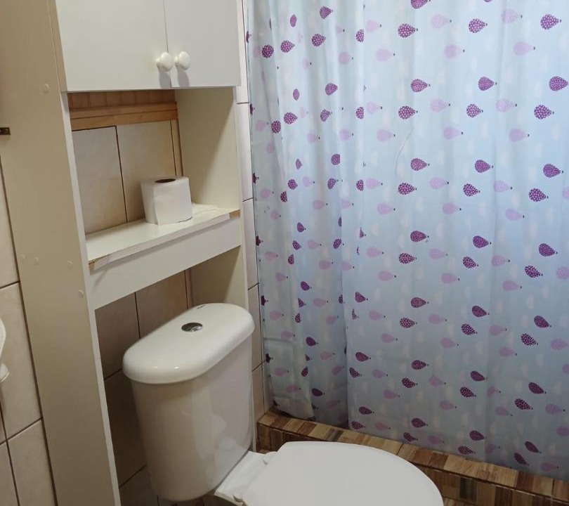 Photo of Bathroom in Melipeuco