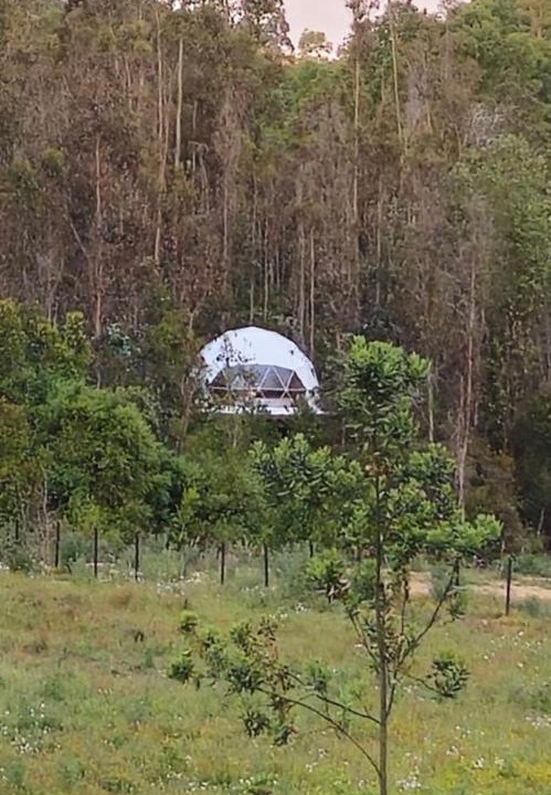 Photo of Others in Araucania Region