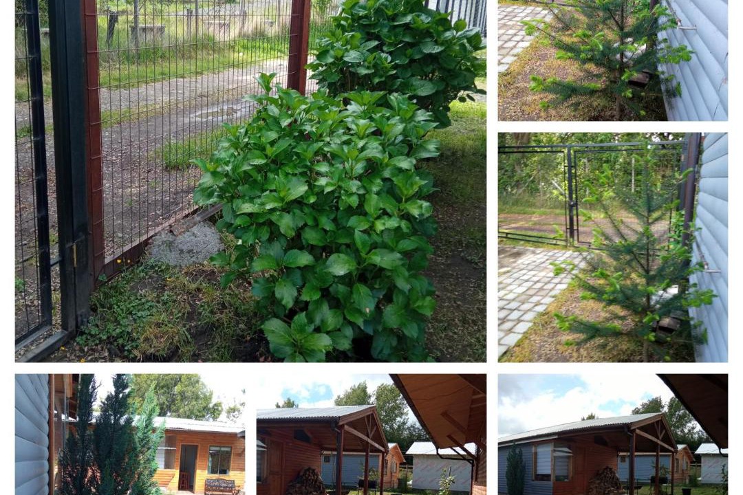Photo of Outdoor in Conaripe