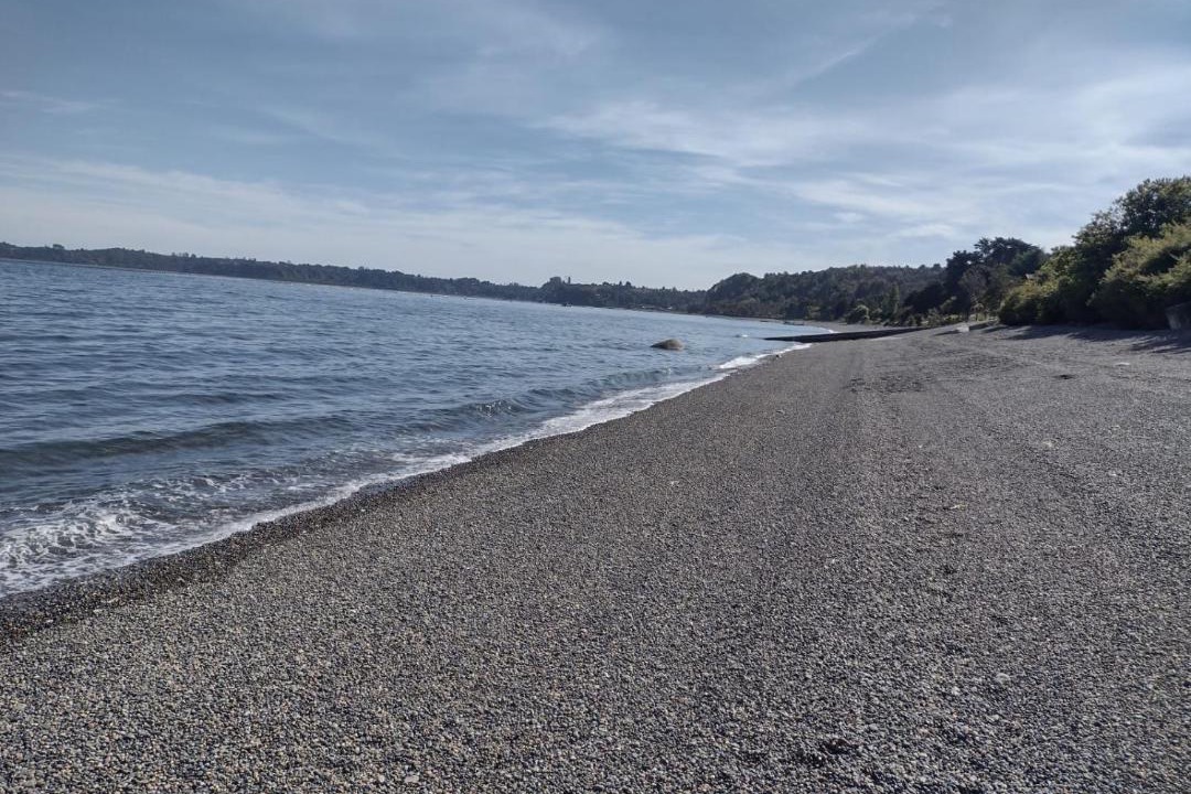 Photo of Others in Puerto Montt