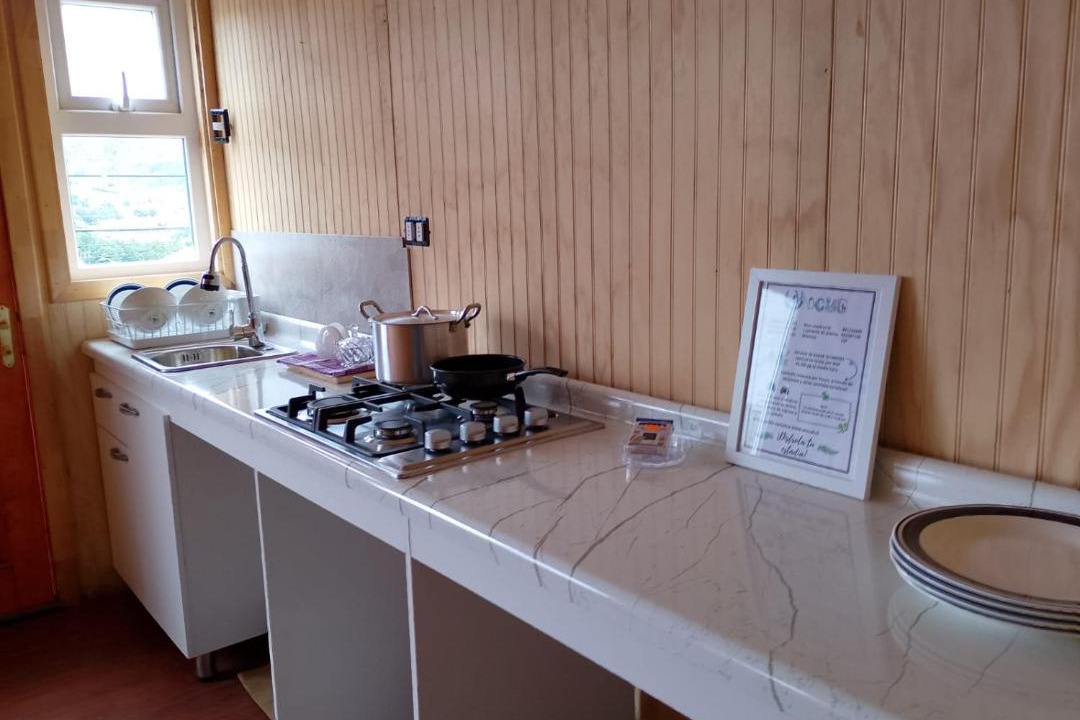 Photo of Kitchen in Ancud