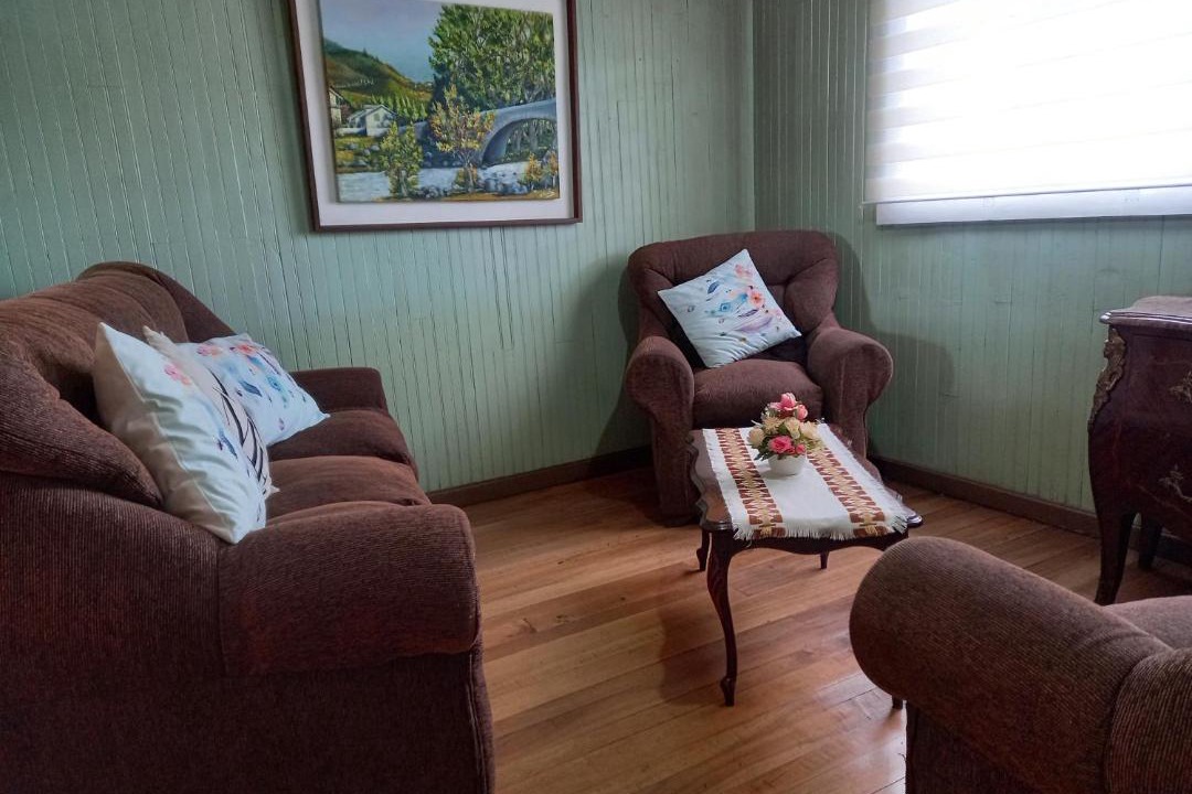 Photo of Livingroom in Curacautin