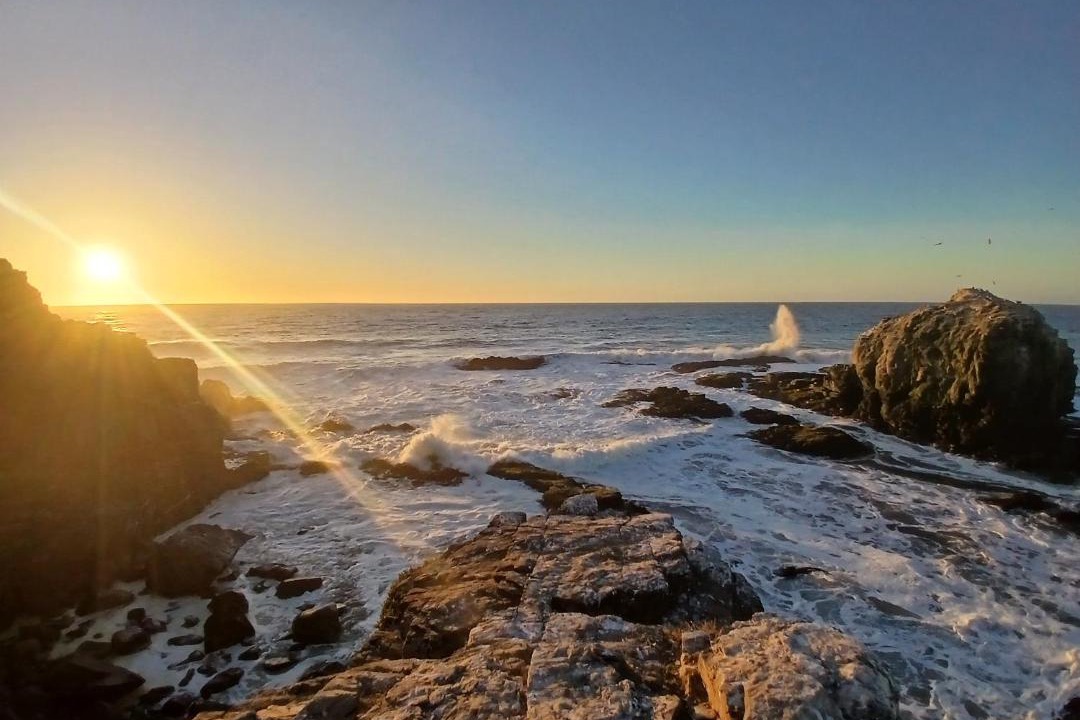 Photo of Others in Pichilemu