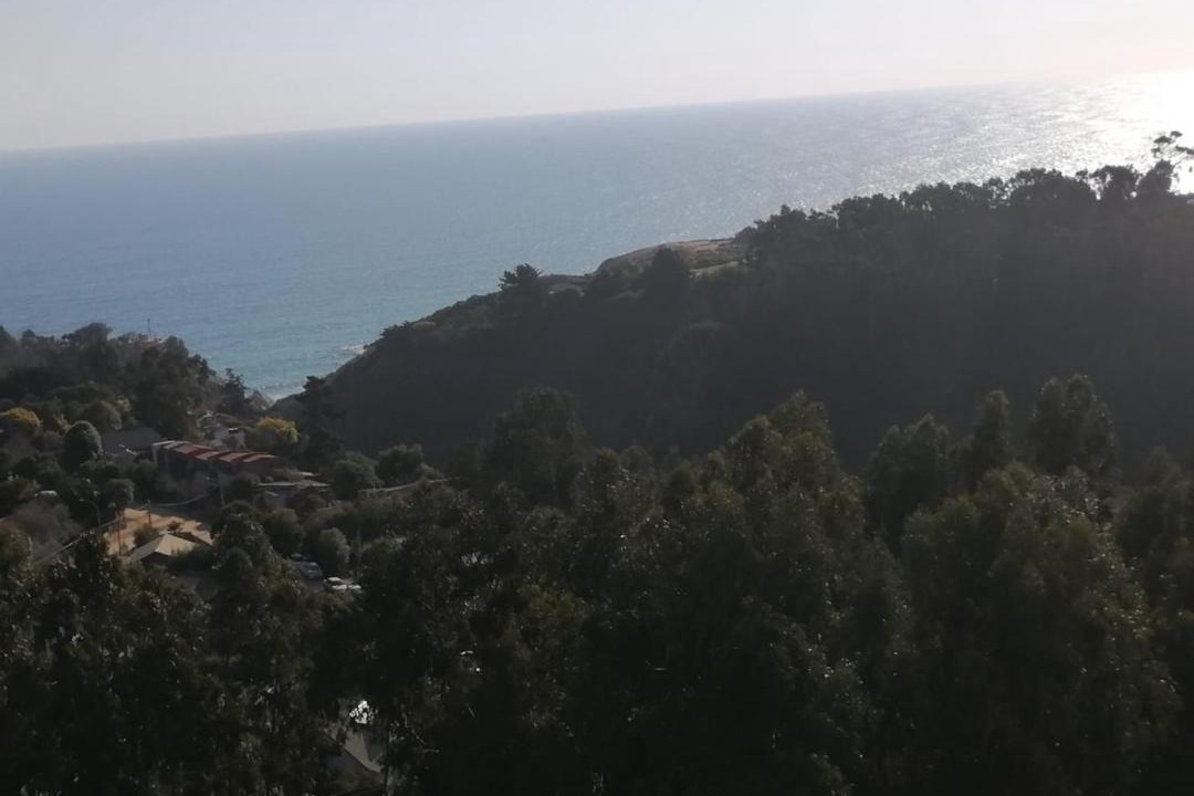 Photo of Others in Algarrobo